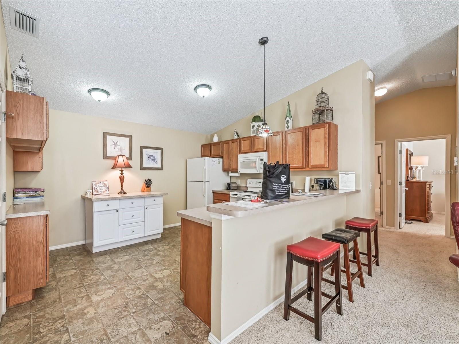 1322 HOLLYBERRY PL, THE VILLAGES, FL, 32162