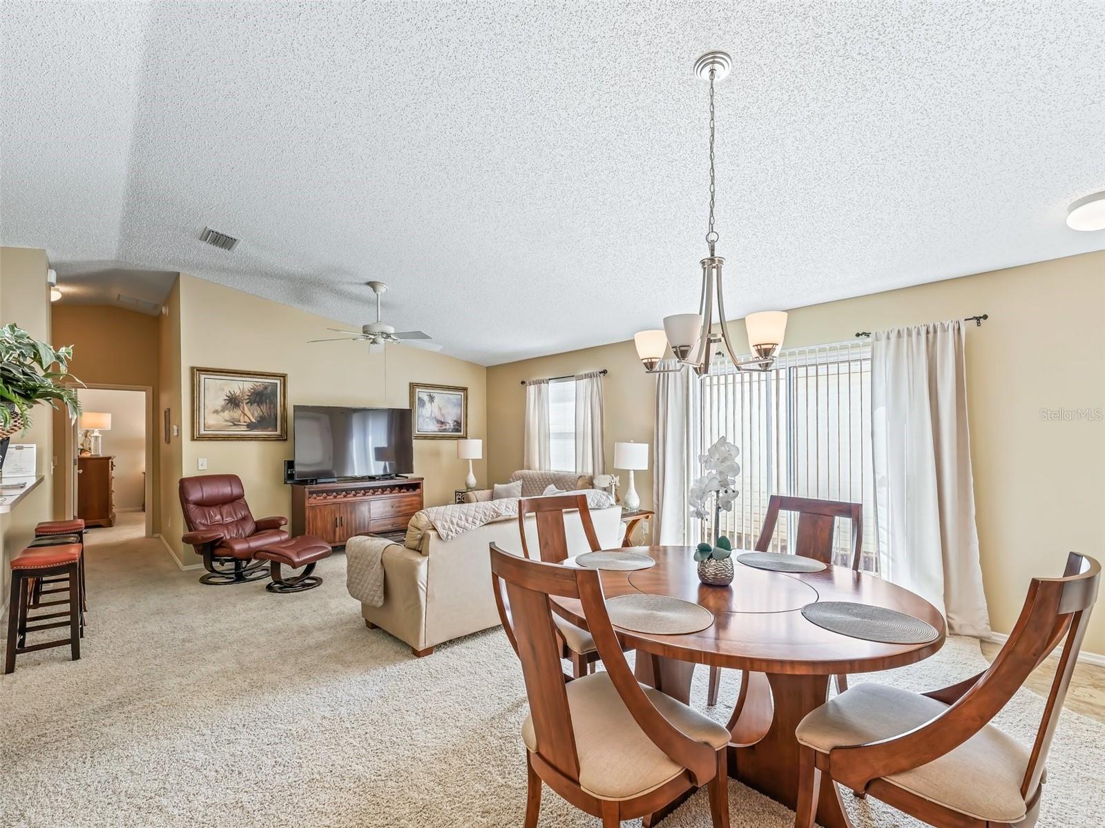 1322 HOLLYBERRY PL, THE VILLAGES, FL, 32162