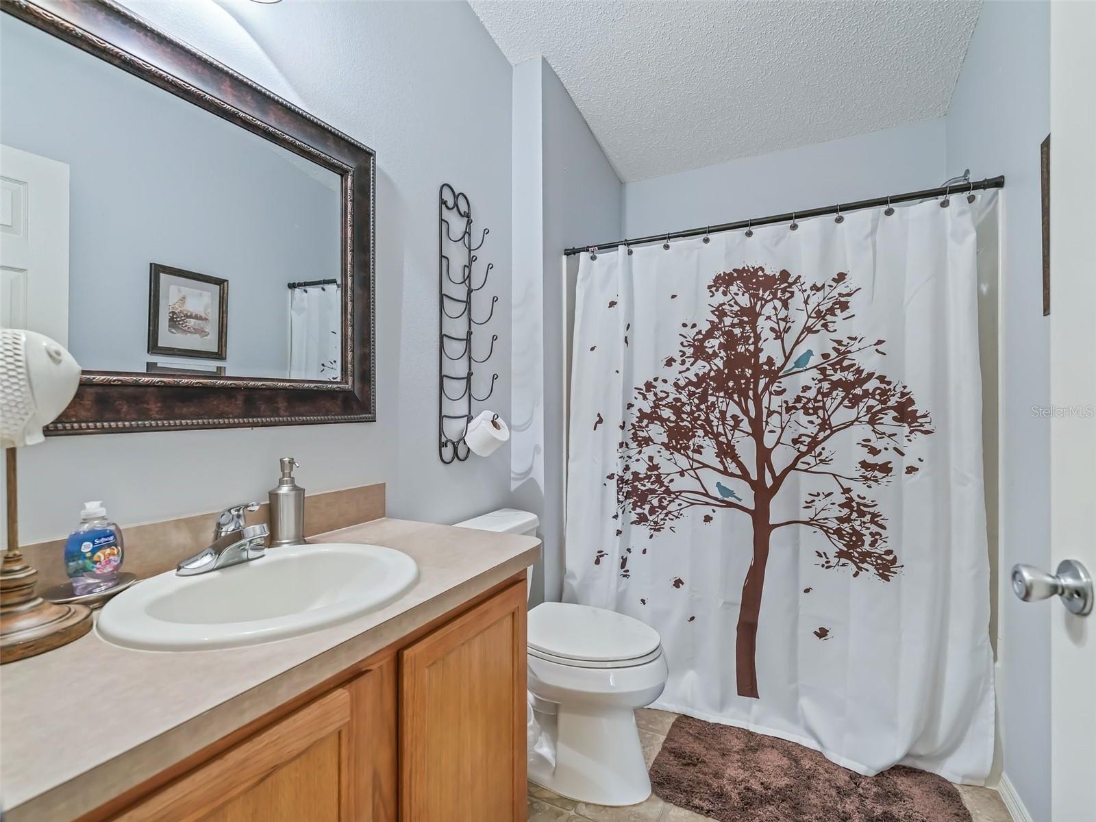 1322 HOLLYBERRY PL, THE VILLAGES, FL, 32162