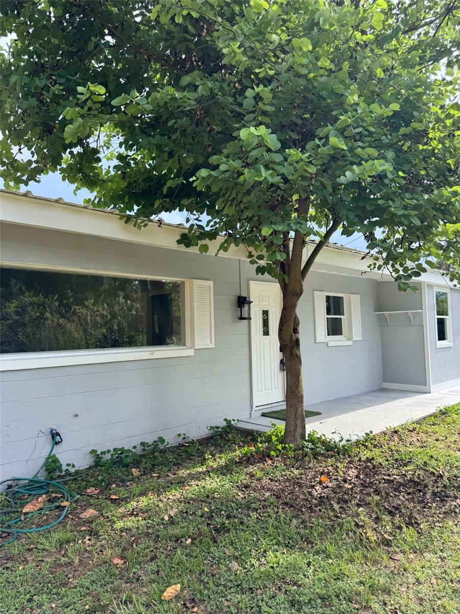 3951 WALKER RD, APOPKA, FL, 32703