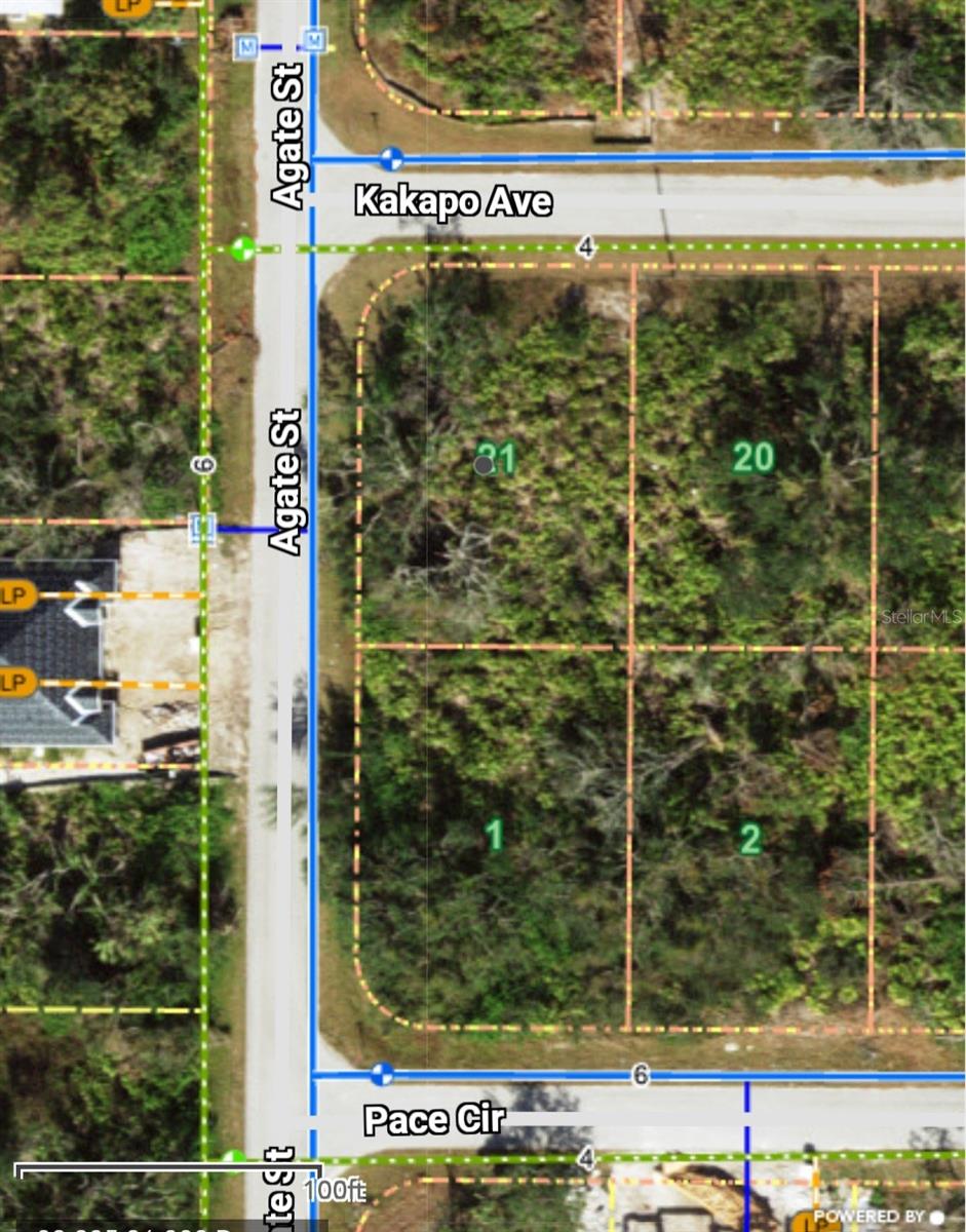 13147 KAKAPO AVE, PORT CHARLOTTE, FL, 33981