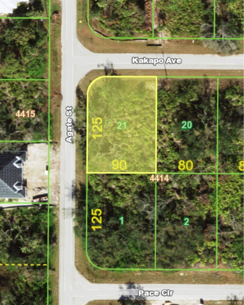 13147 KAKAPO AVE, PORT CHARLOTTE, FL, 33981