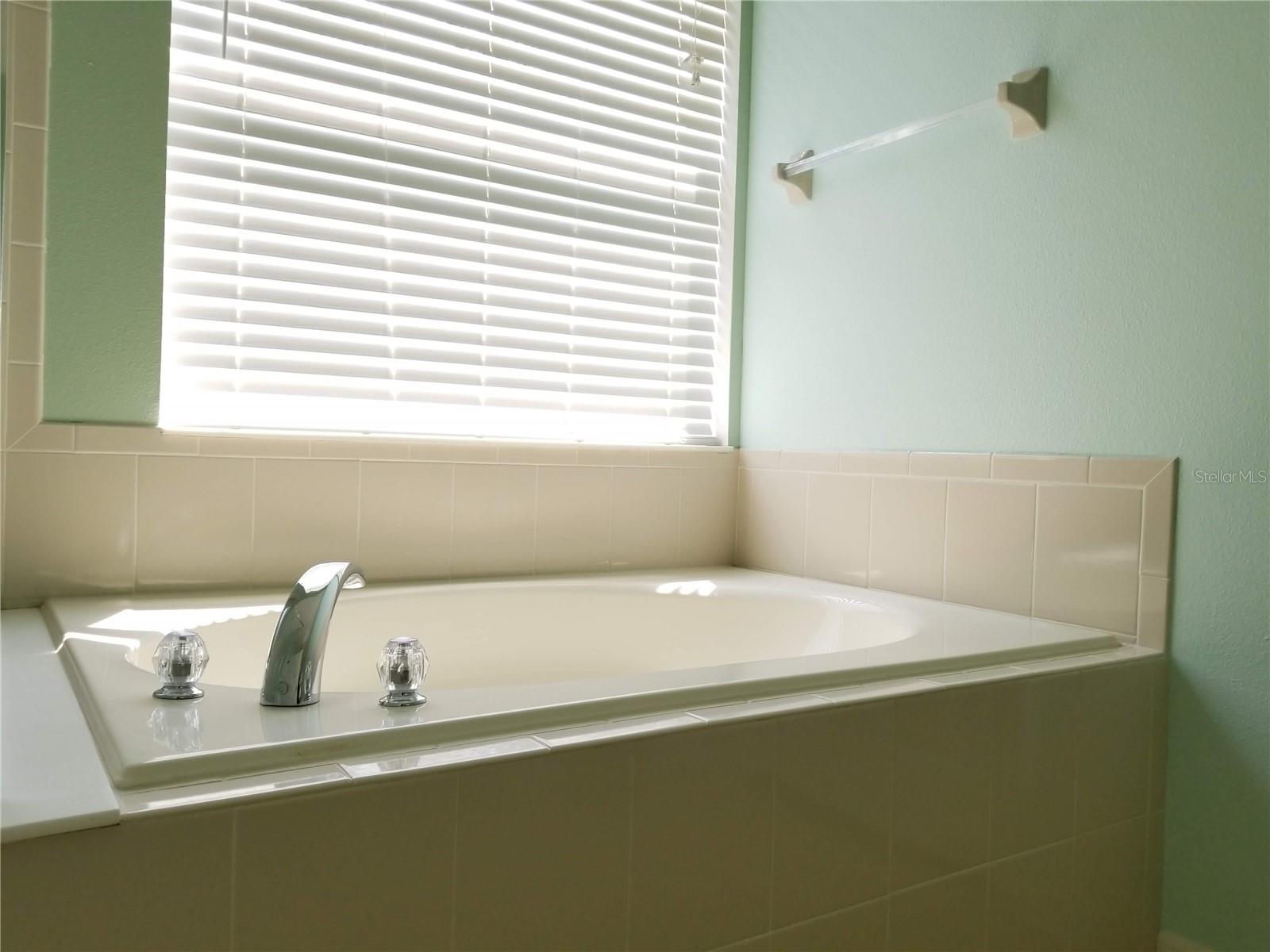 3856 ENCHANTMENT LN, ST CLOUD, FL, 34772