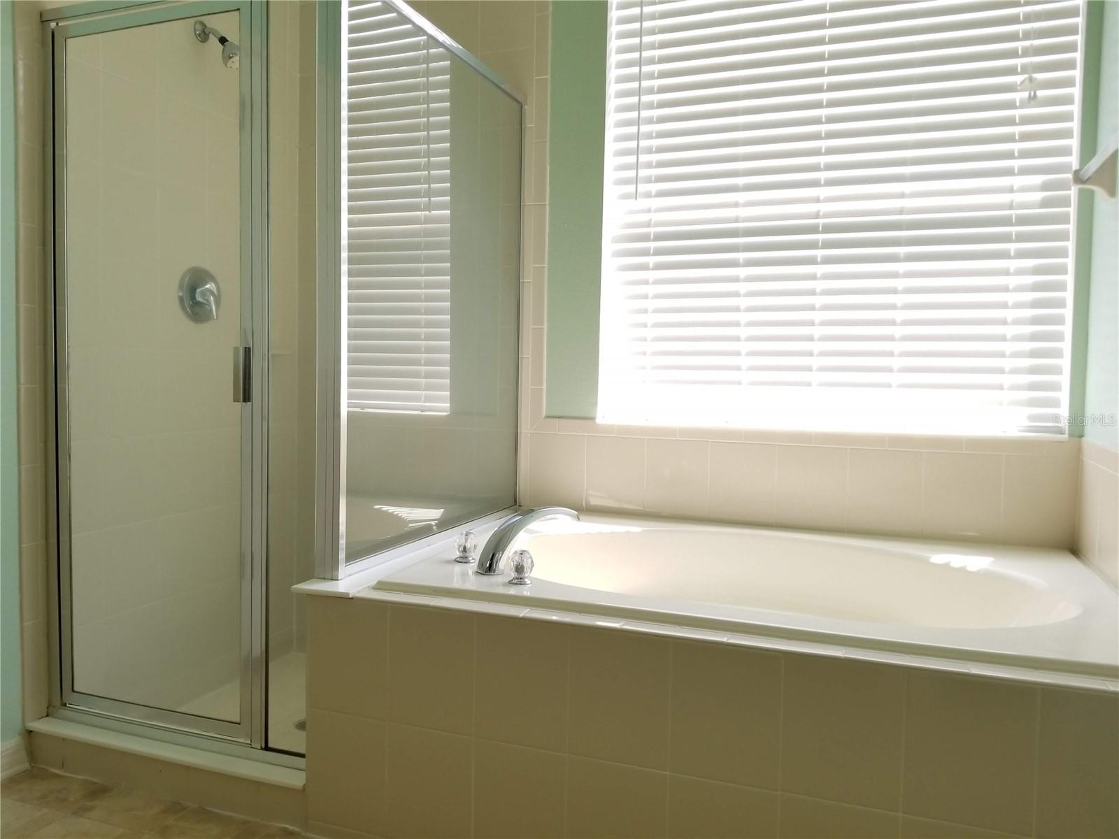 3856 ENCHANTMENT LN, ST CLOUD, FL, 34772