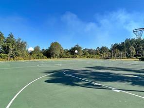 4035 LANGDRUM DR, WESLEY CHAPEL, FL, 33543