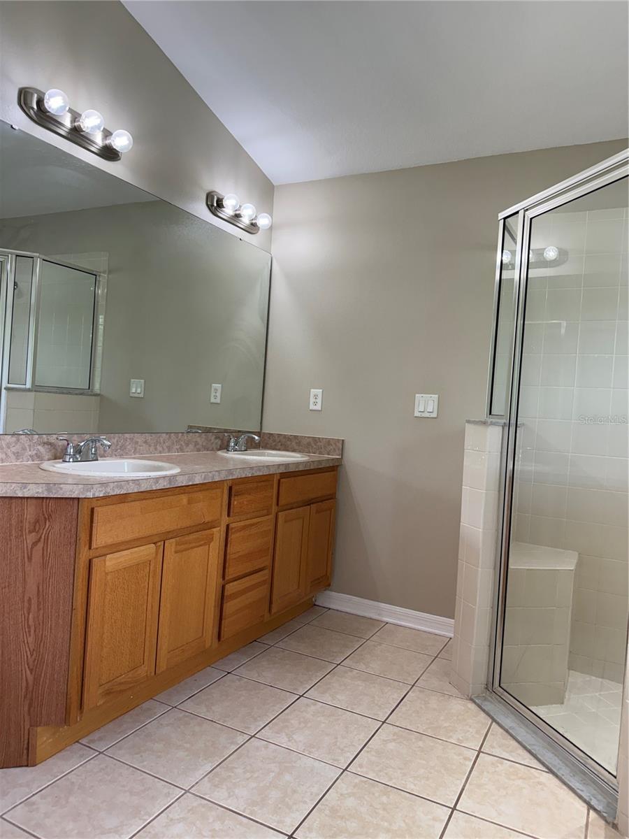 4035 LANGDRUM DR, WESLEY CHAPEL, FL, 33543