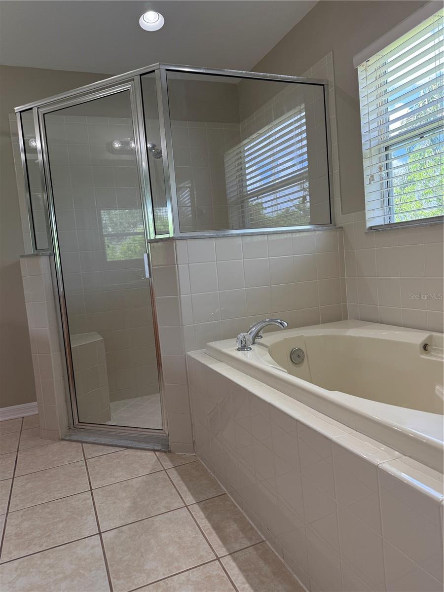 4035 LANGDRUM DR, WESLEY CHAPEL, FL, 33543