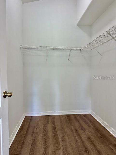 4035 LANGDRUM DR, WESLEY CHAPEL, FL, 33543