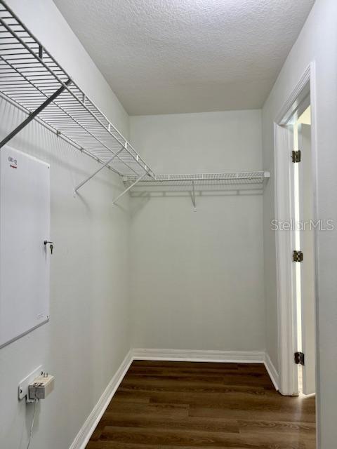 4035 LANGDRUM DR, WESLEY CHAPEL, FL, 33543