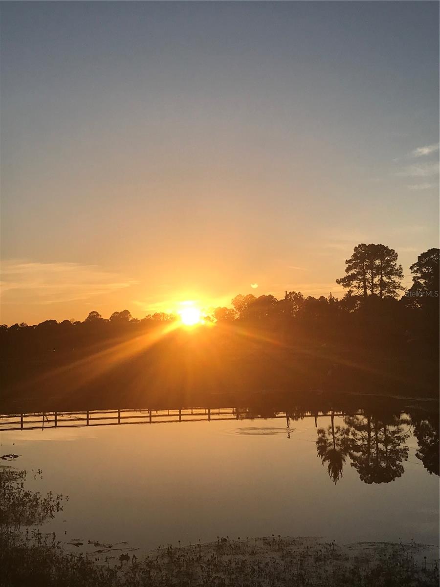 1350 RED COLT CT, ASTOR, FL, 32102