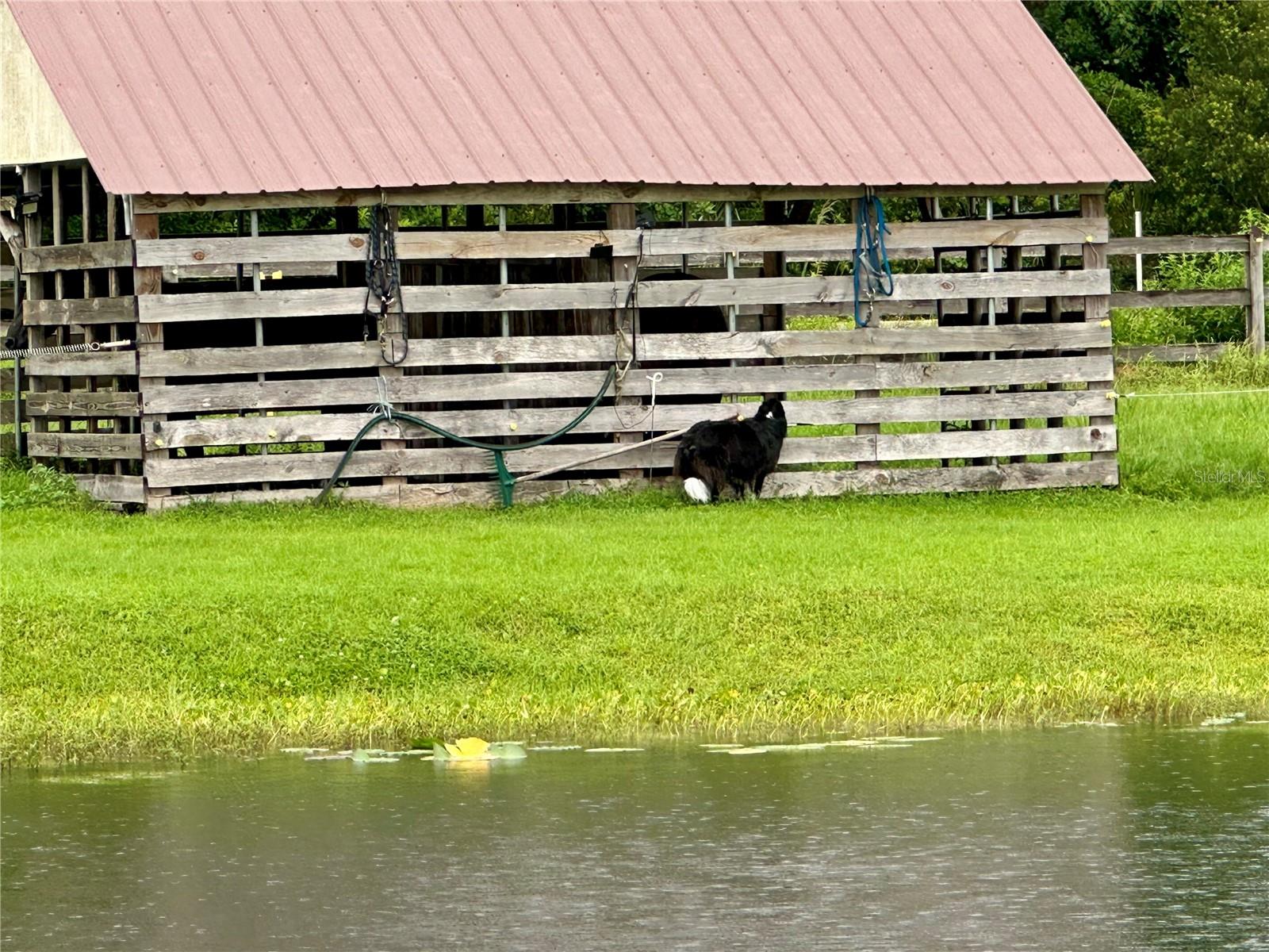 1350 RED COLT CT, ASTOR, FL, 32102