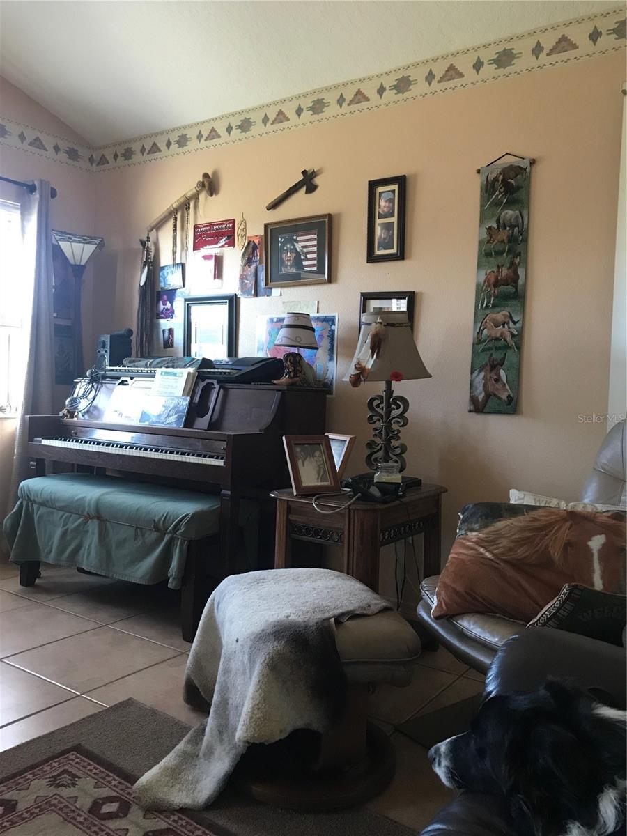 1350 RED COLT CT, ASTOR, FL, 32102