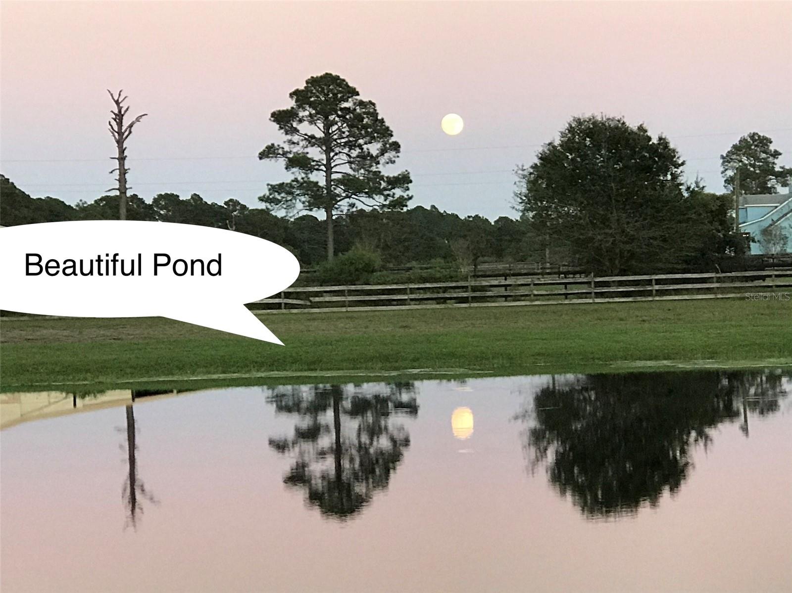 1350 RED COLT CT, ASTOR, FL, 32102