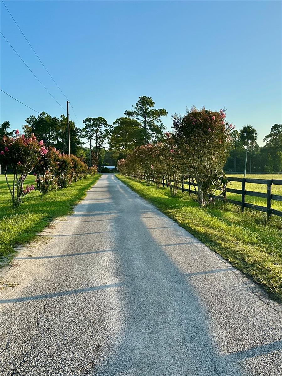 1350 RED COLT CT, ASTOR, FL, 32102