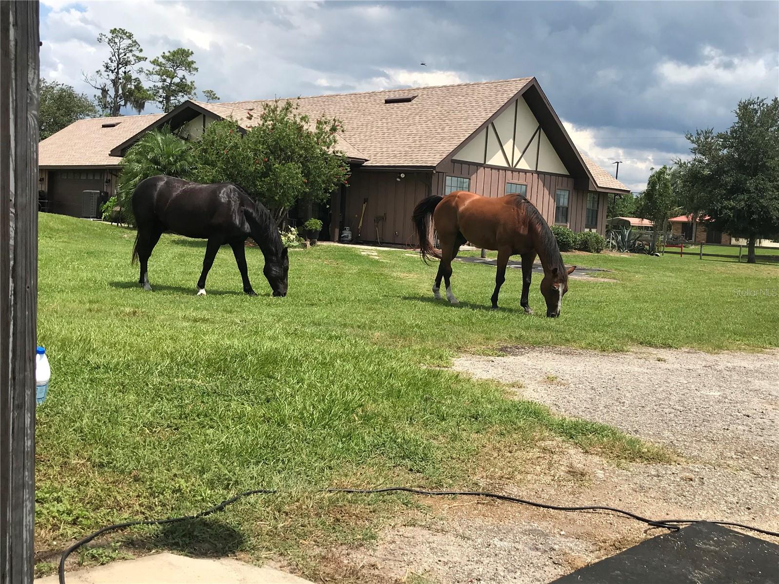 1350 RED COLT CT, ASTOR, FL, 32102