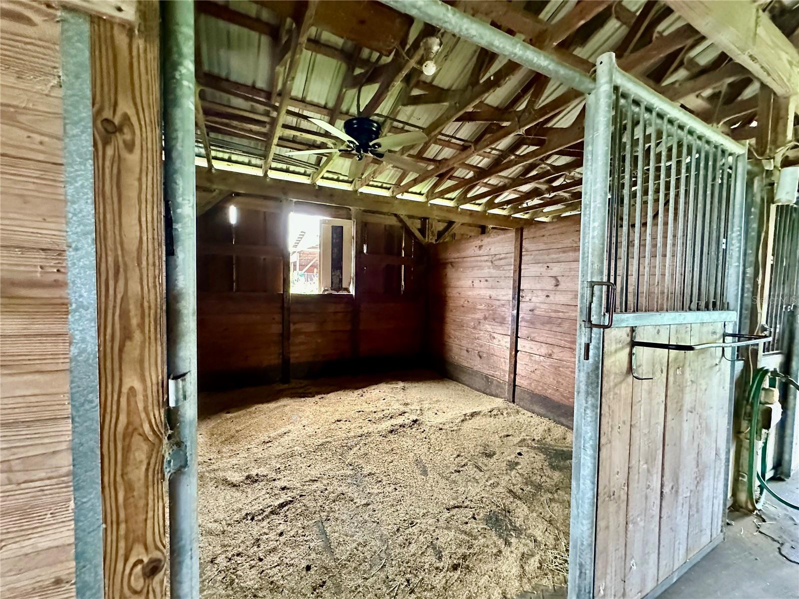 1350 RED COLT CT, ASTOR, FL, 32102