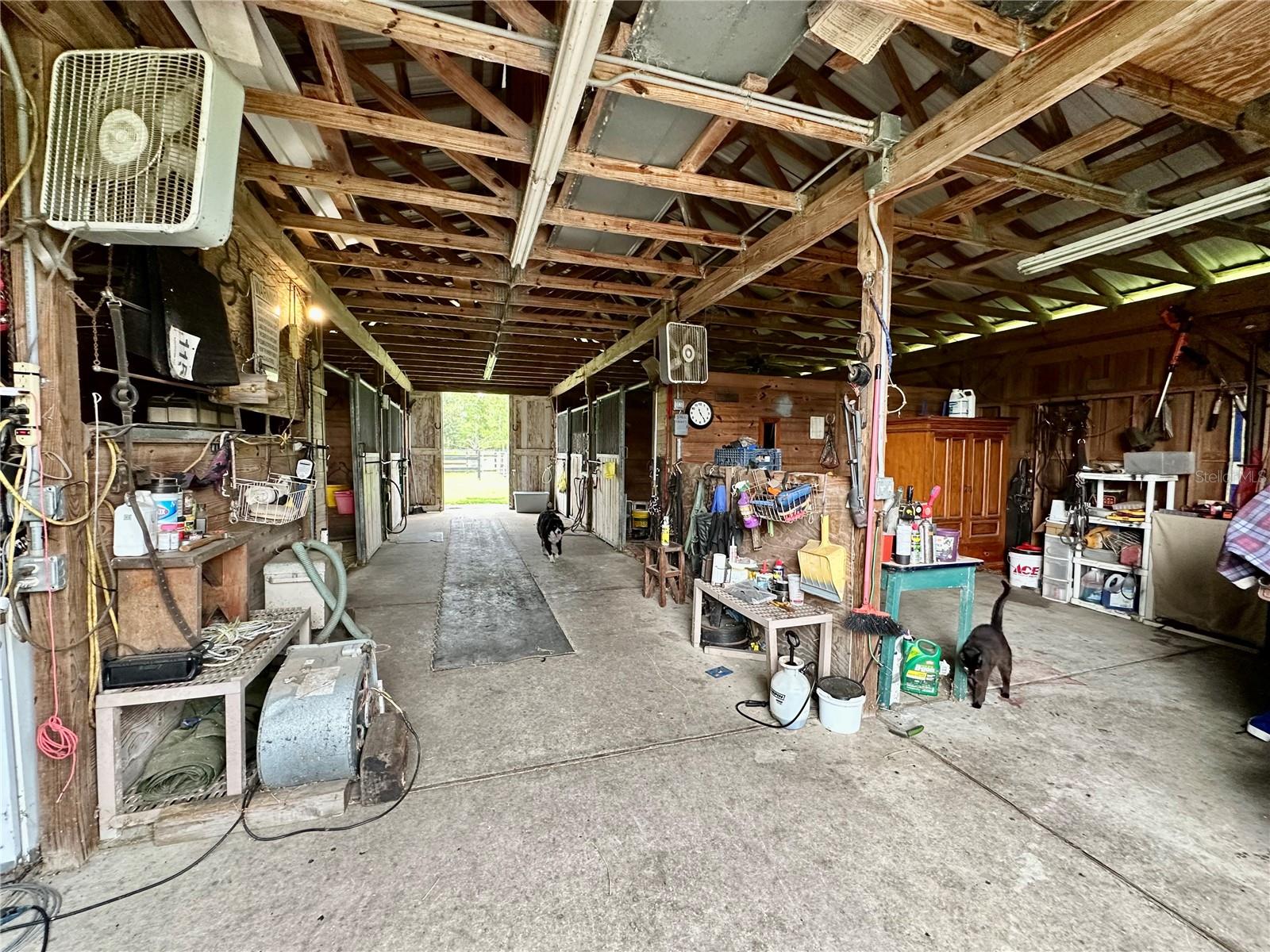 1350 RED COLT CT, ASTOR, FL, 32102