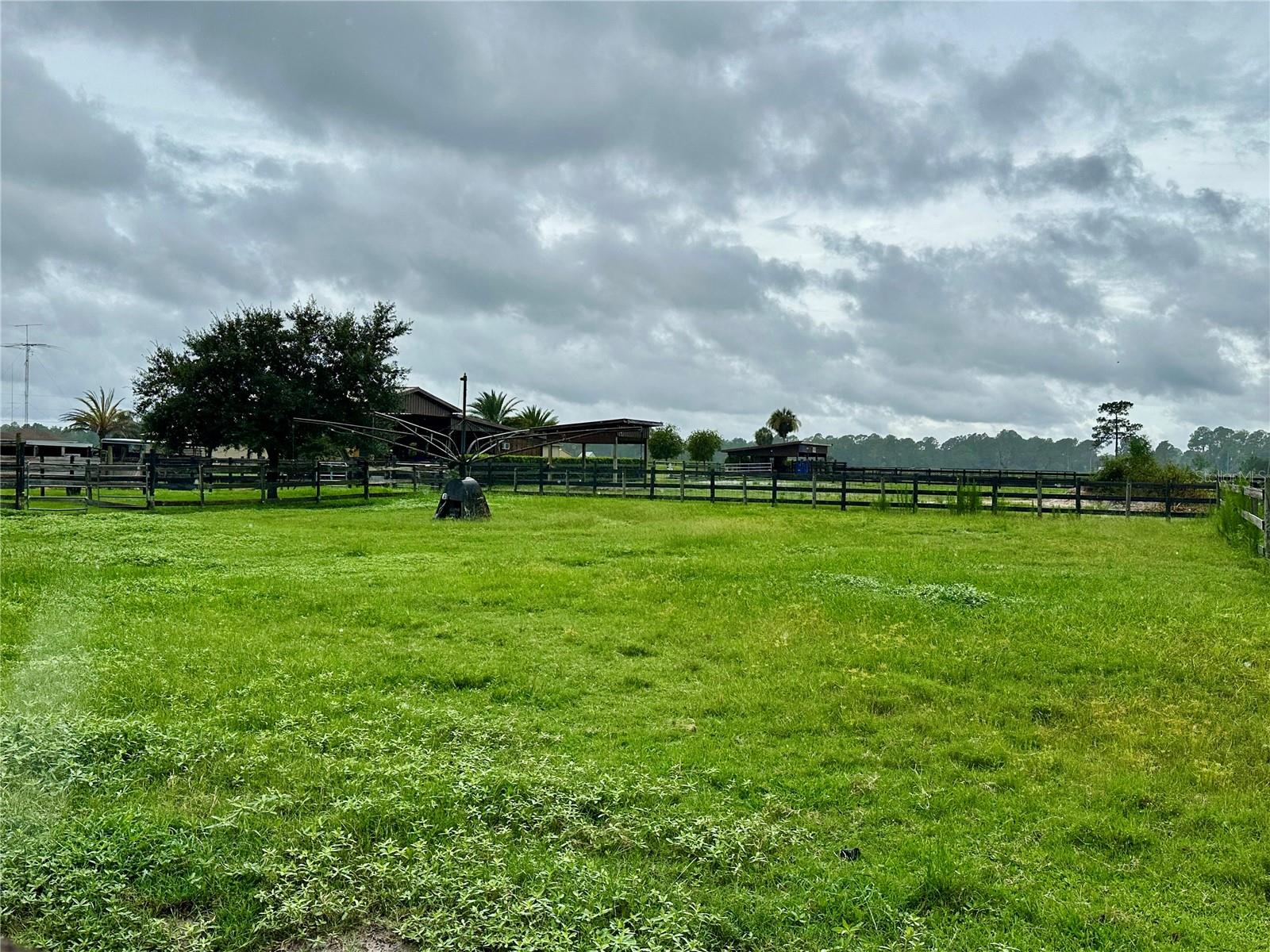 1350 RED COLT CT, ASTOR, FL, 32102