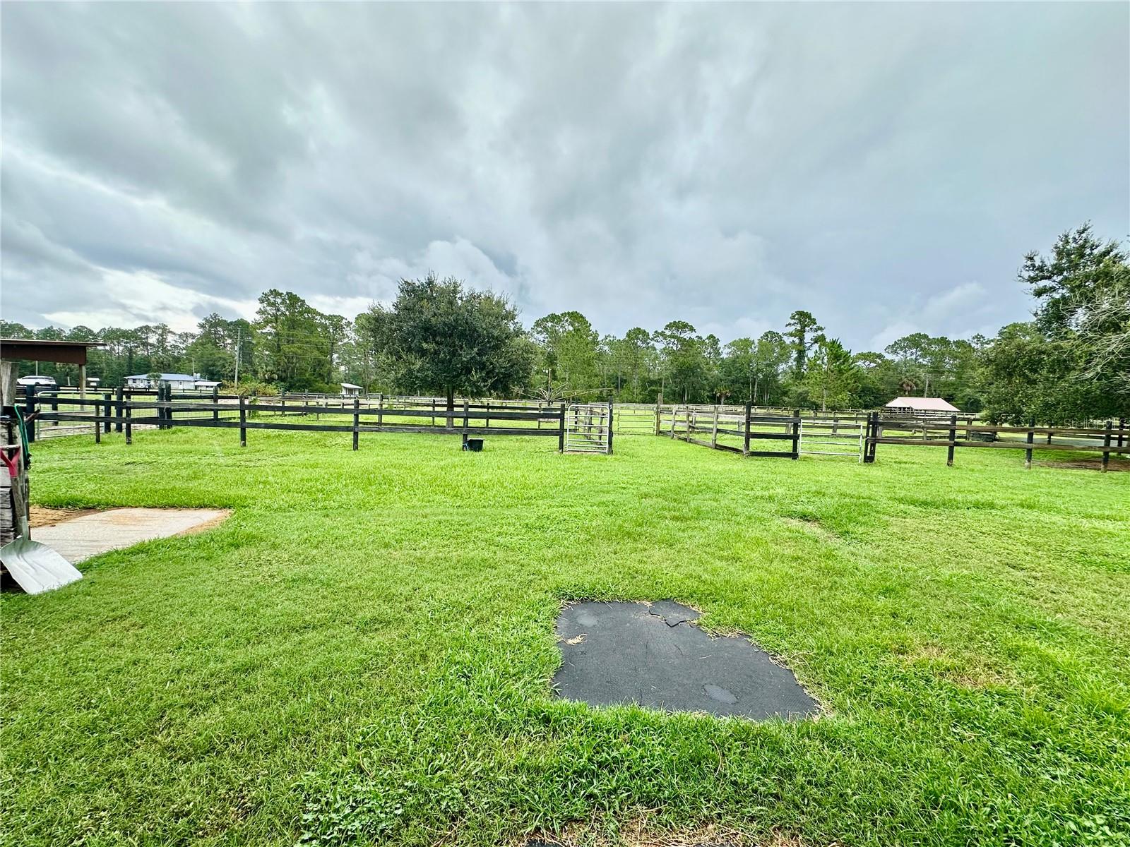 1350 RED COLT CT, ASTOR, FL, 32102
