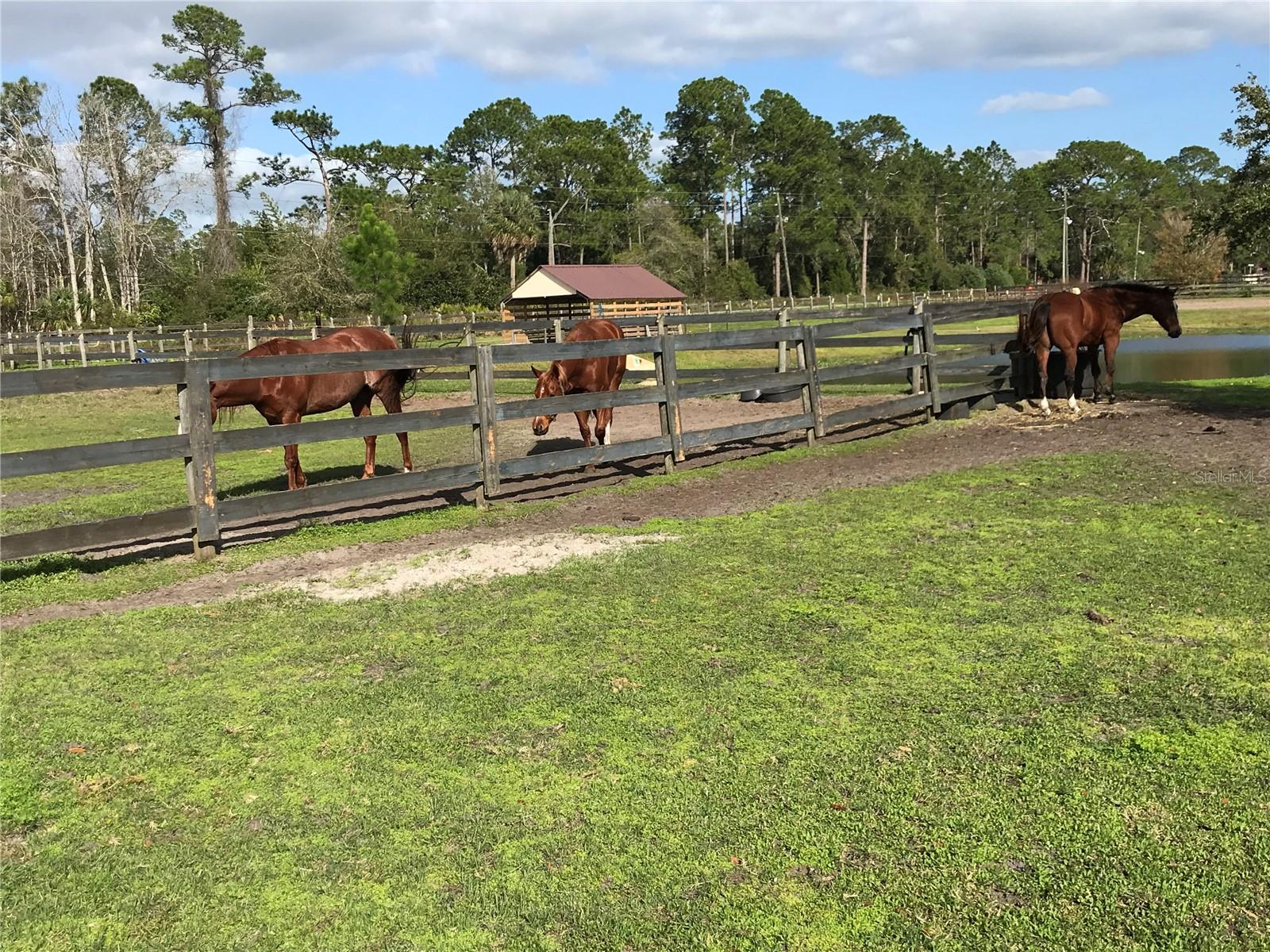 1350 RED COLT CT, ASTOR, FL, 32102