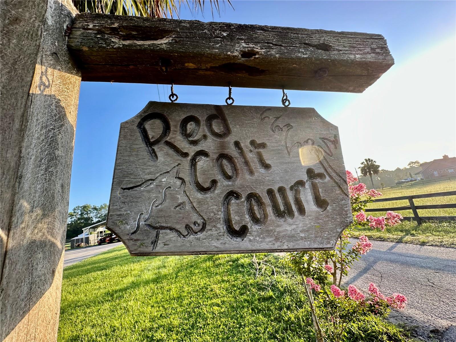 1350 RED COLT CT, ASTOR, FL, 32102