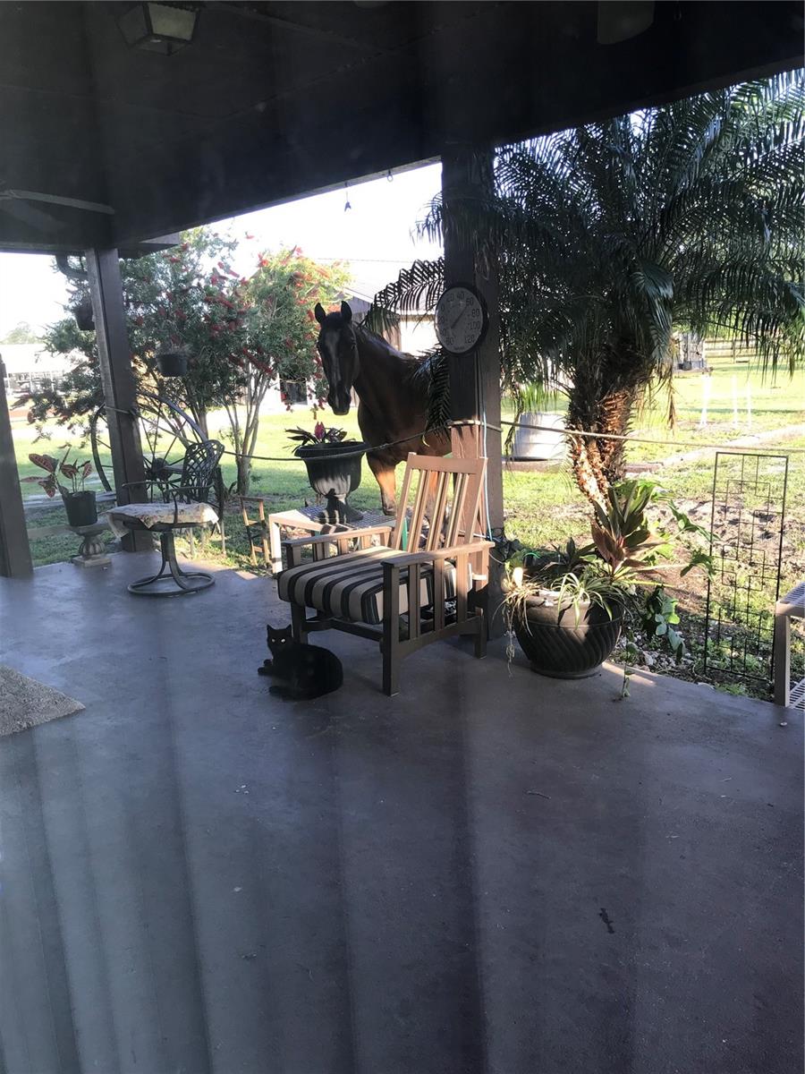 1350 RED COLT CT, ASTOR, FL, 32102