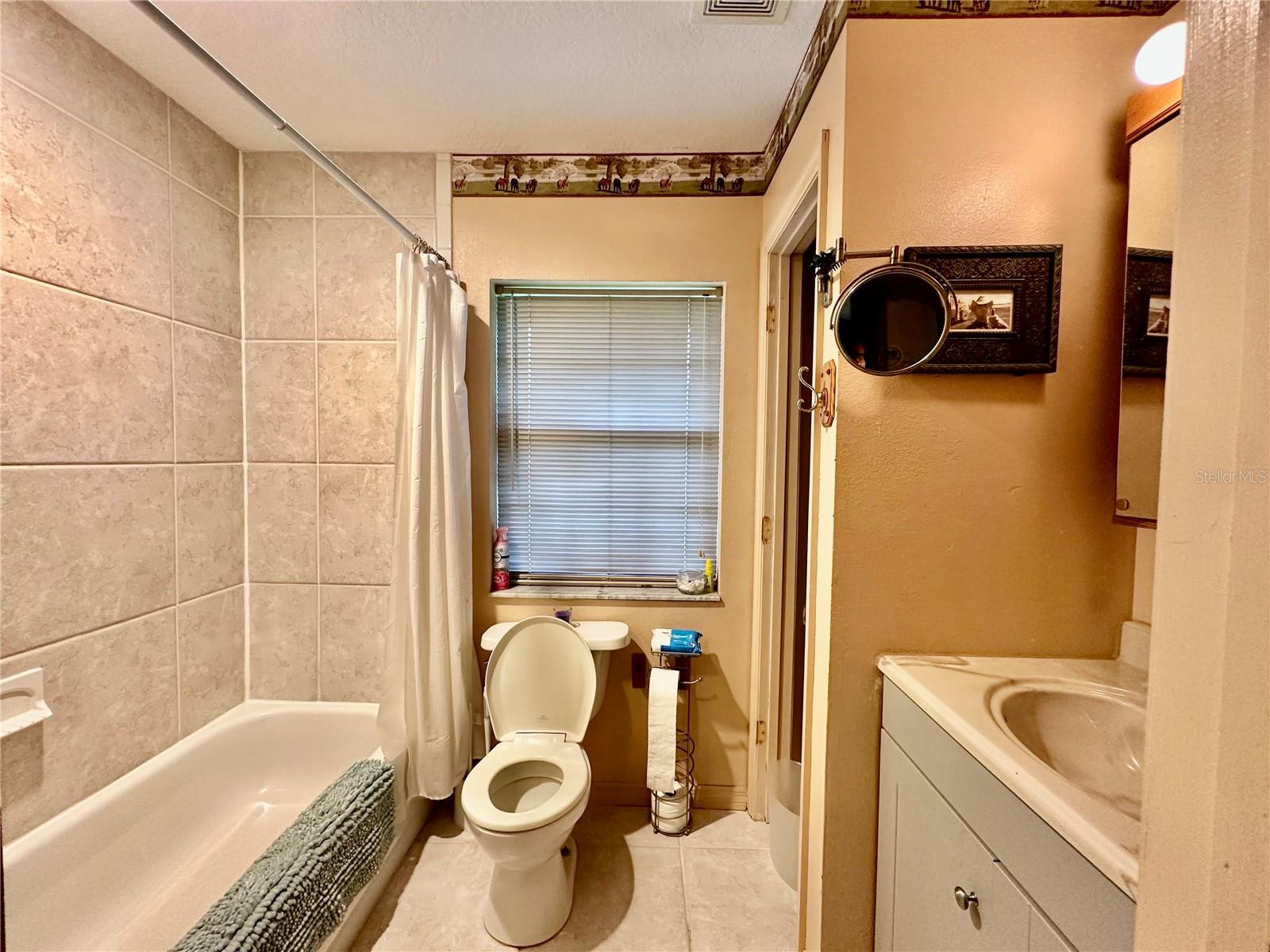 1350 RED COLT CT, ASTOR, FL, 32102