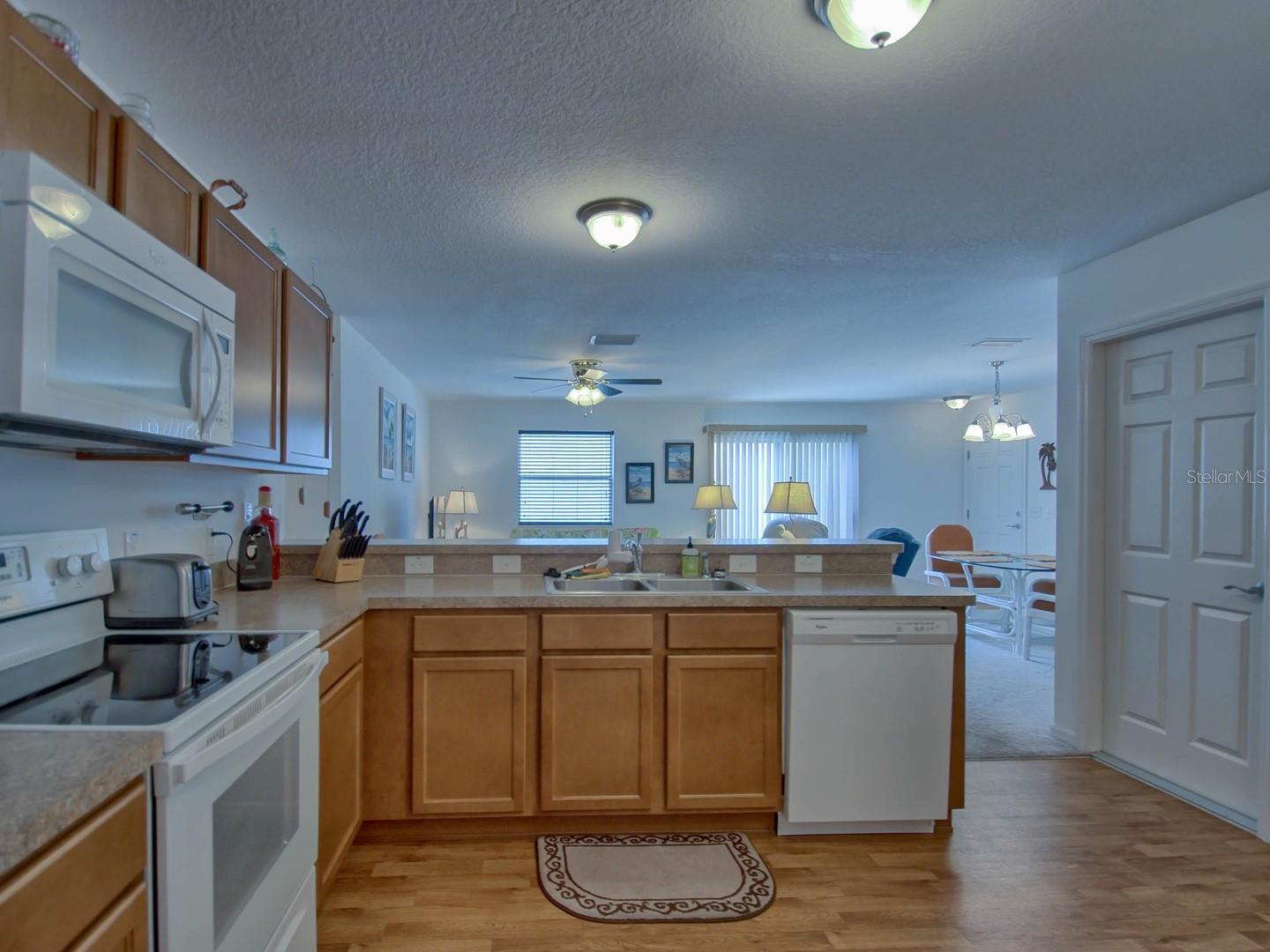 1445 OLYMPIA ST, THE VILLAGES, FL, 32163