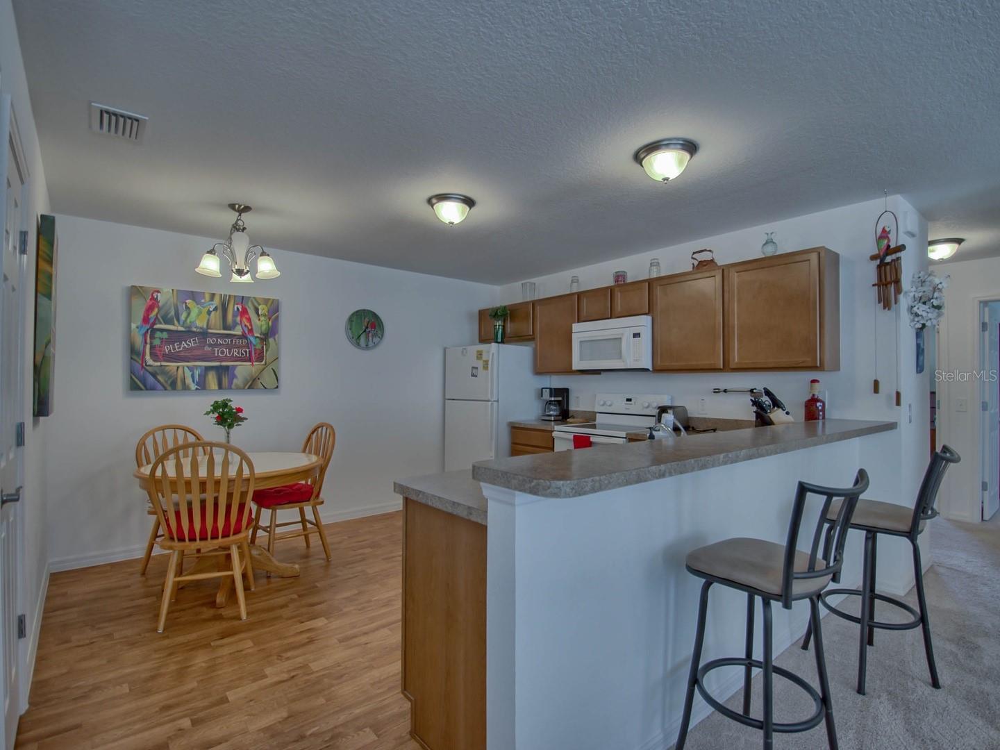 1445 OLYMPIA ST, THE VILLAGES, FL, 32163