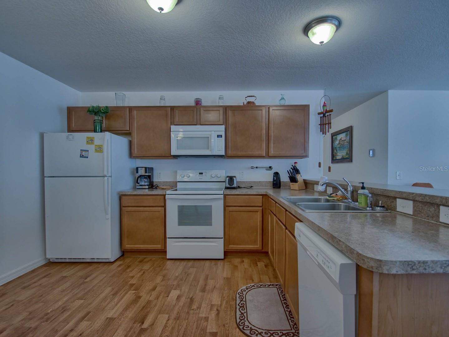 1445 OLYMPIA ST, THE VILLAGES, FL, 32163