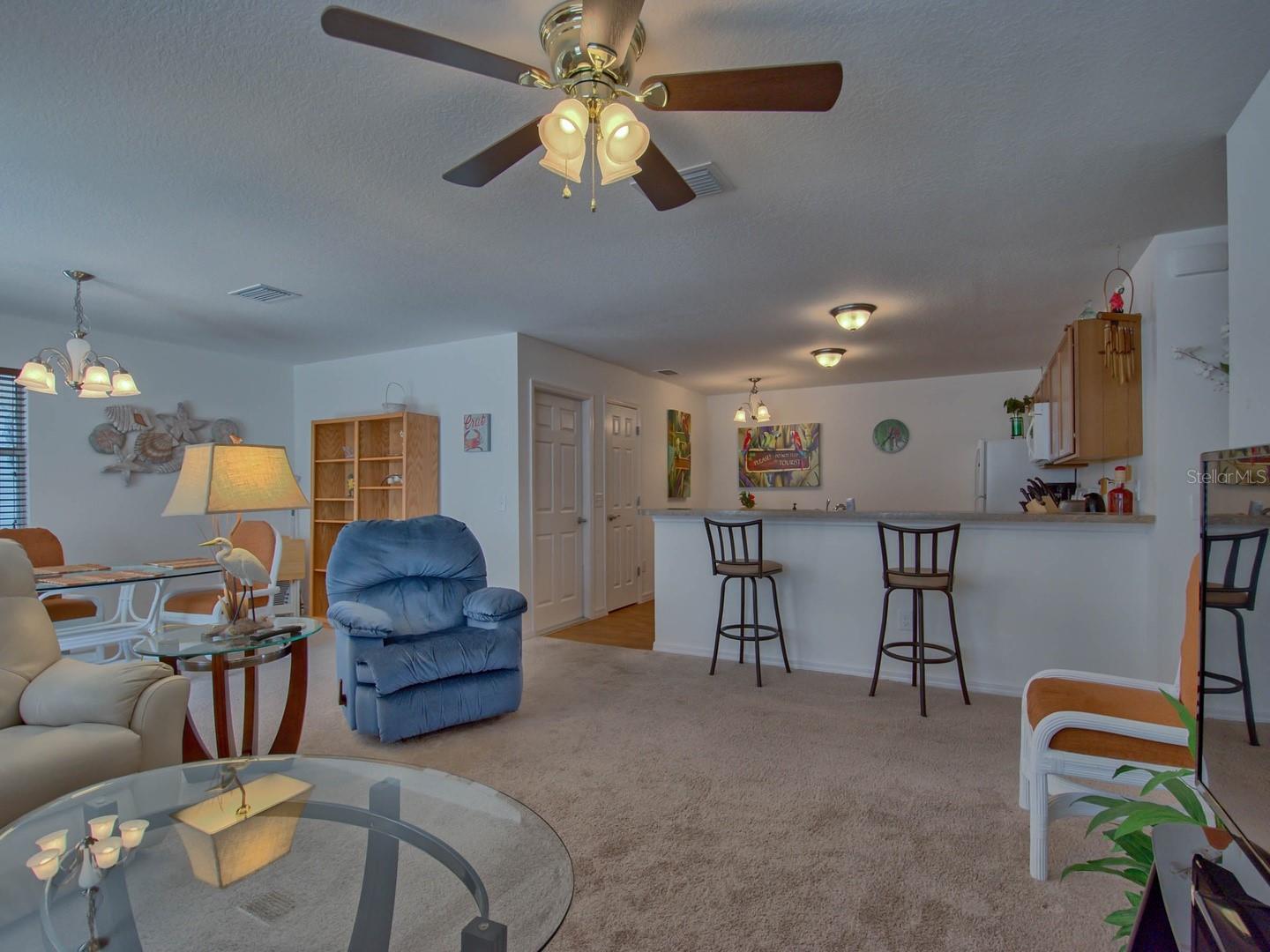 1445 OLYMPIA ST, THE VILLAGES, FL, 32163