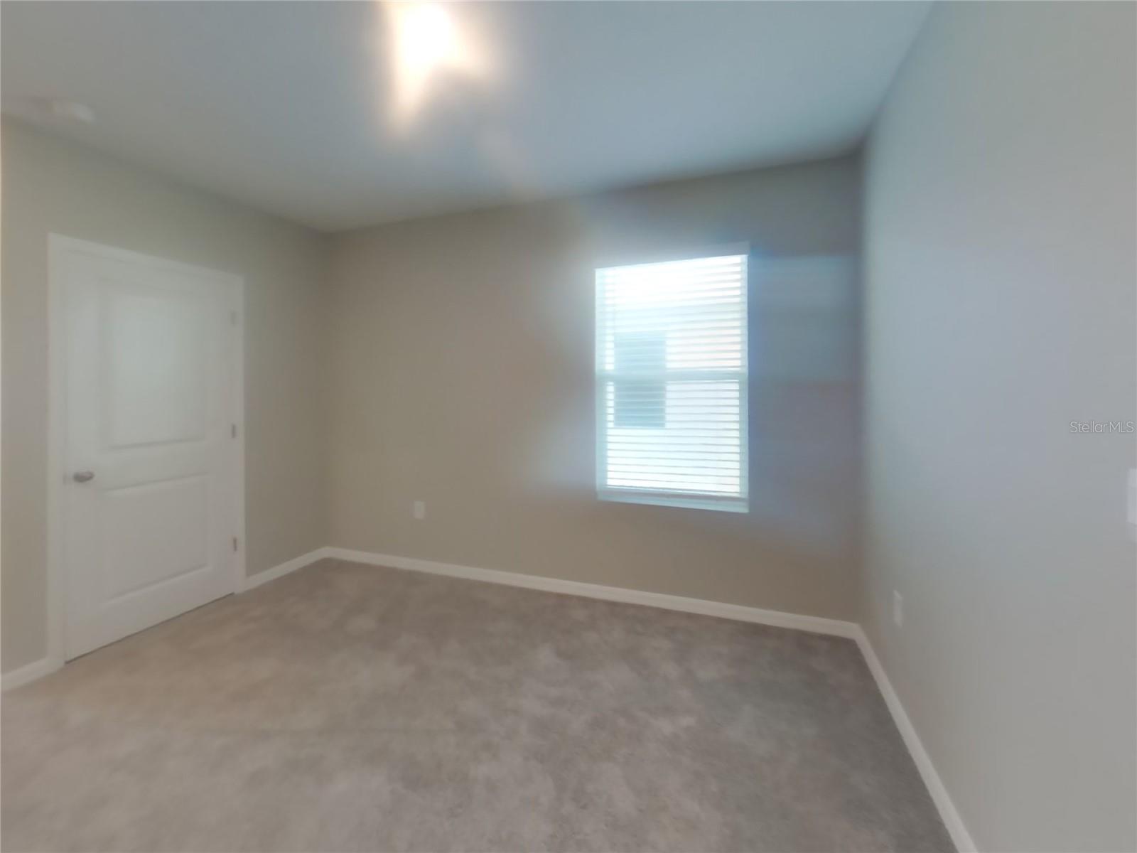 7123 BROAD RIVER AVE, LAND O LAKES, FL, 34638