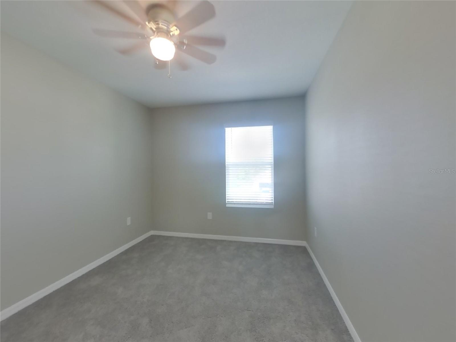 7123 BROAD RIVER AVE, LAND O LAKES, FL, 34638