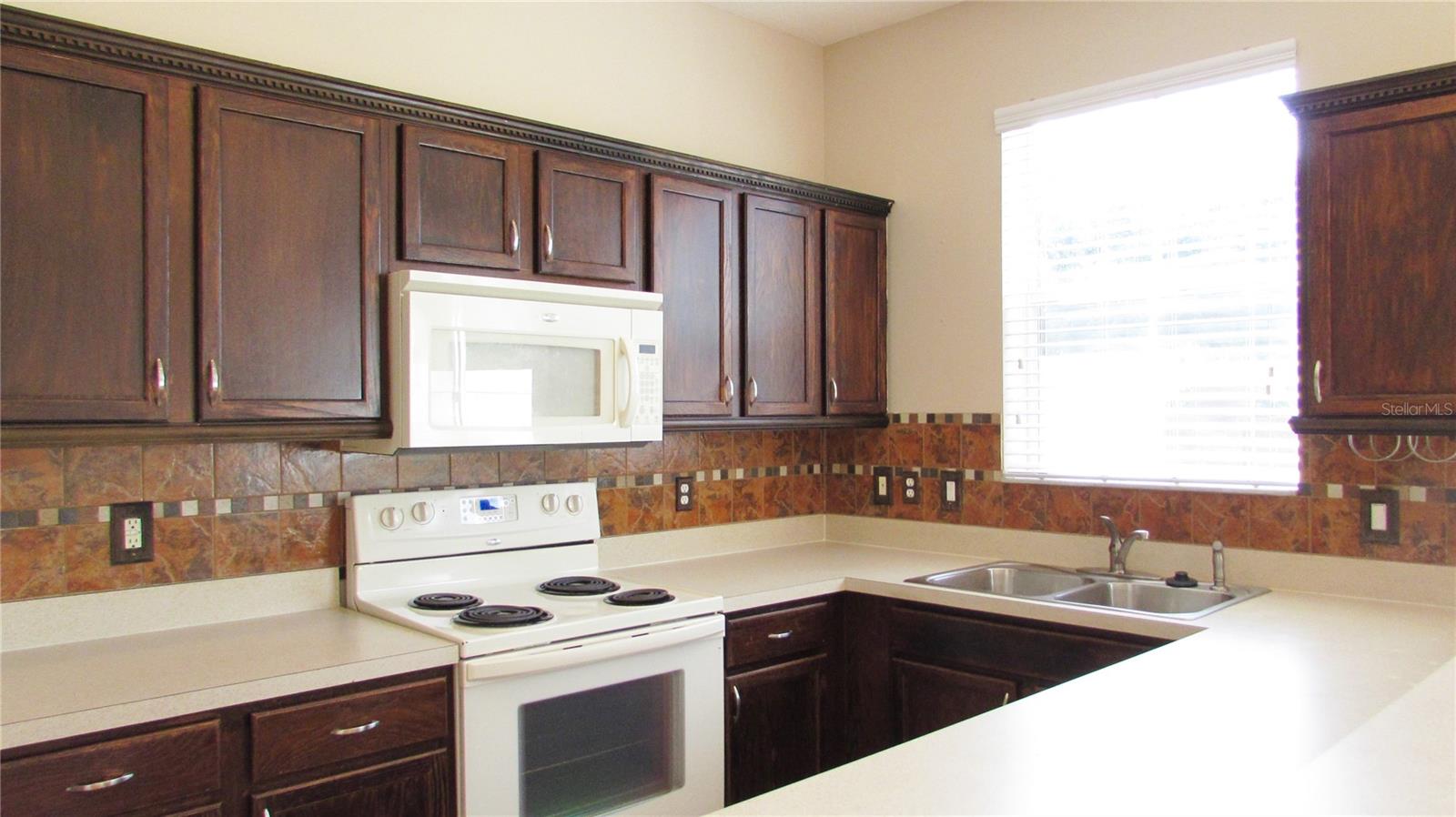 9434 SILVER BUTTONWOOD ST, ORLANDO, FL, 32832