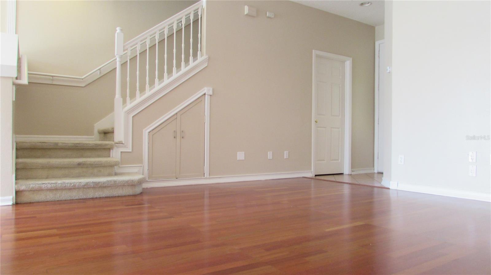 9434 SILVER BUTTONWOOD ST, ORLANDO, FL, 32832