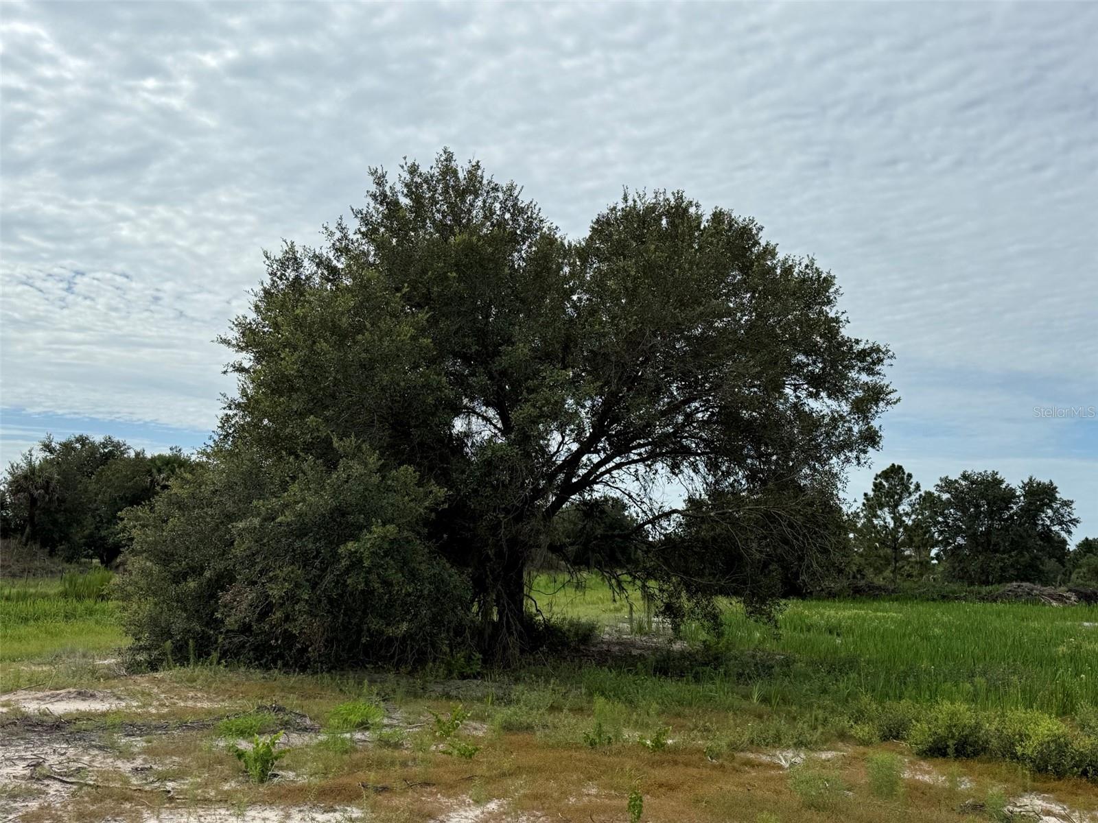 16814 NW 296TH ST, OKEECHOBEE, FL, 34972