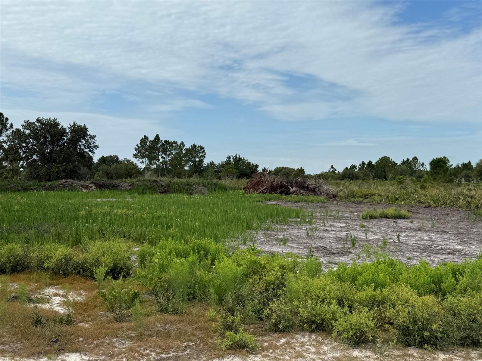 16814 NW 296TH ST, OKEECHOBEE, FL, 34972