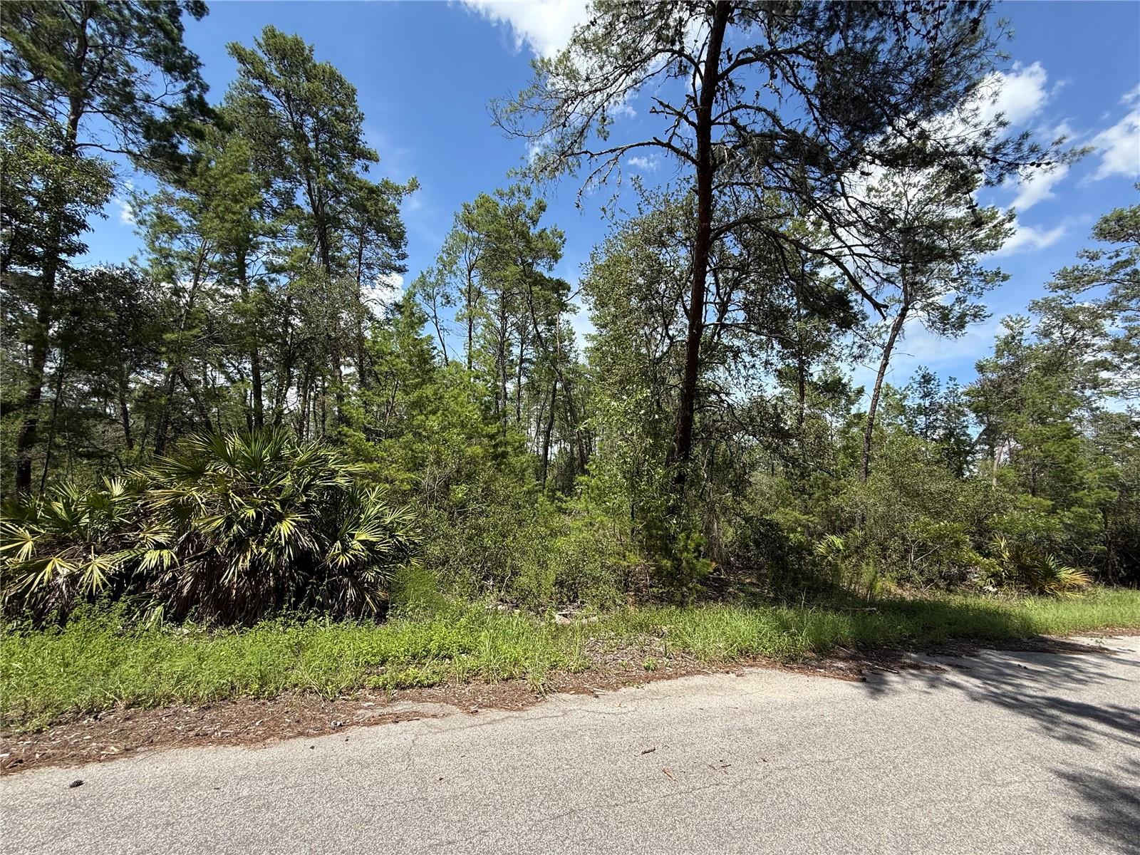 TBD FISHER TRAIL CT, OCKLAWAHA, FL, 32179