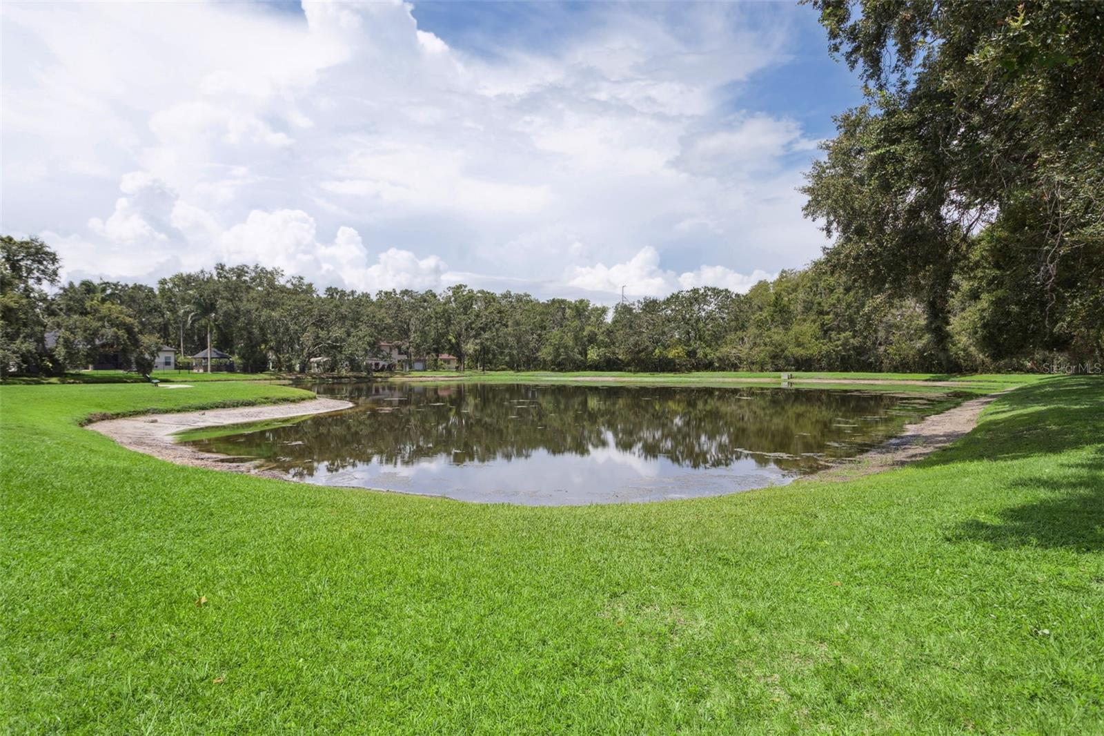 4735 DUNNIE DR, TAMPA, FL, 33614