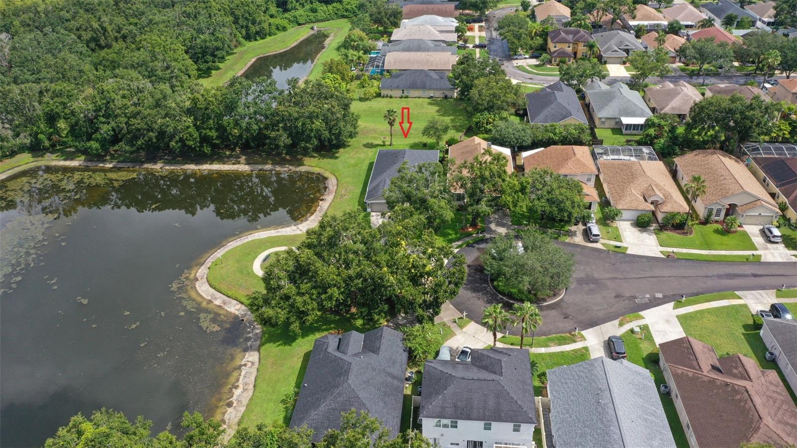 4735 DUNNIE DR, TAMPA, FL, 33614