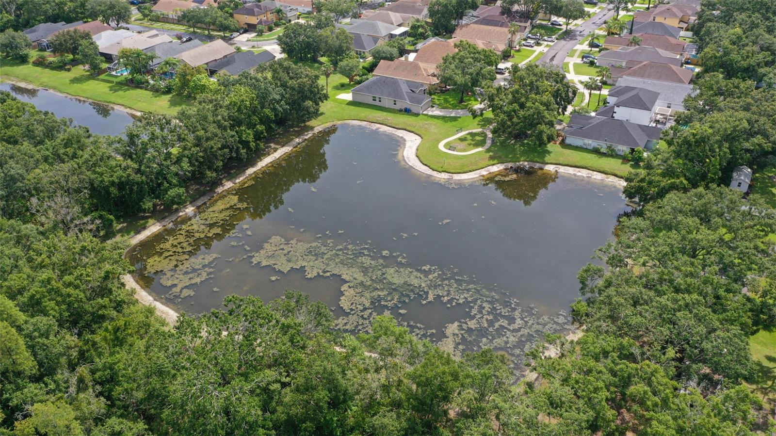 4735 DUNNIE DR, TAMPA, FL, 33614