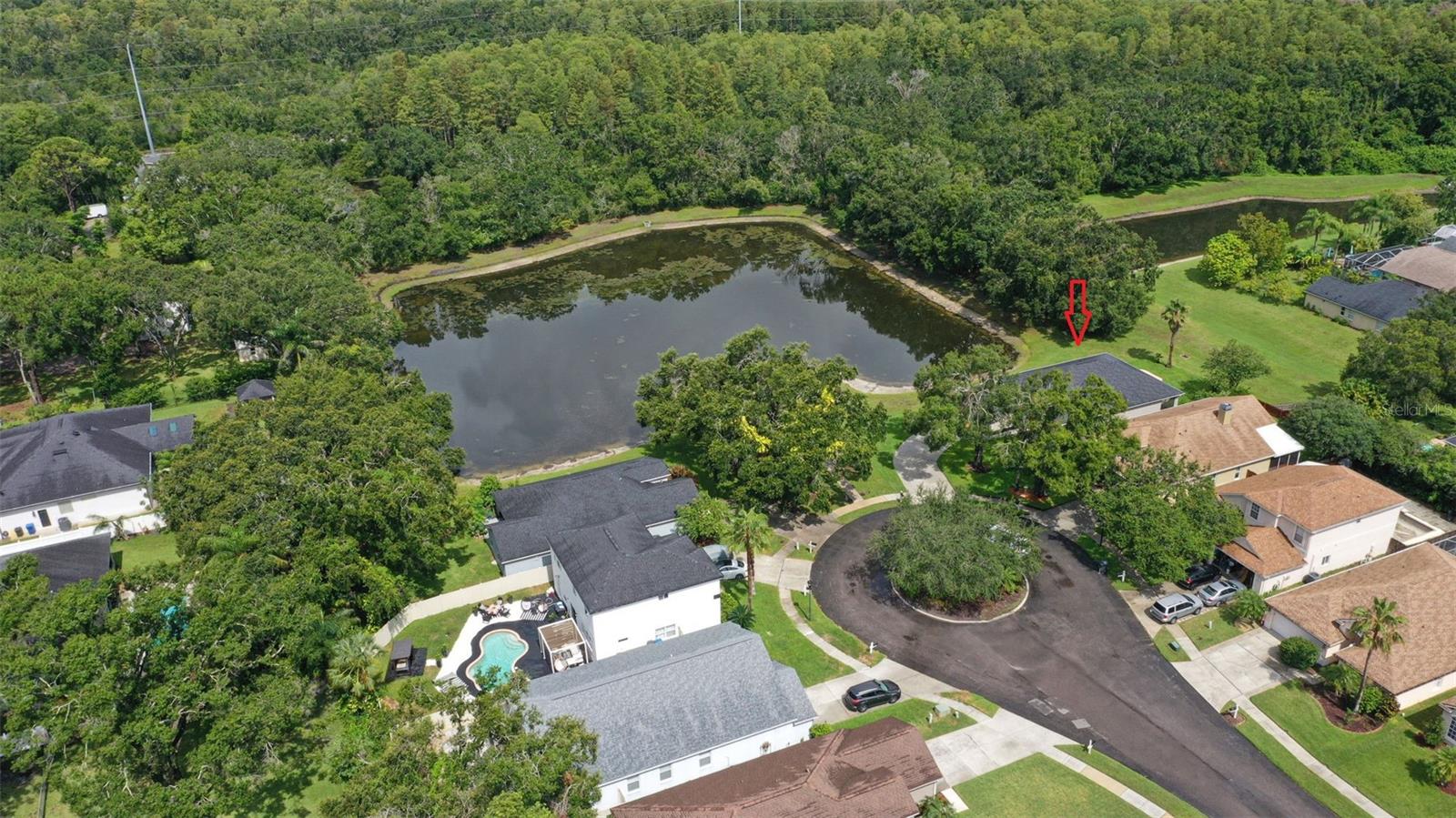 4735 DUNNIE DR, TAMPA, FL, 33614