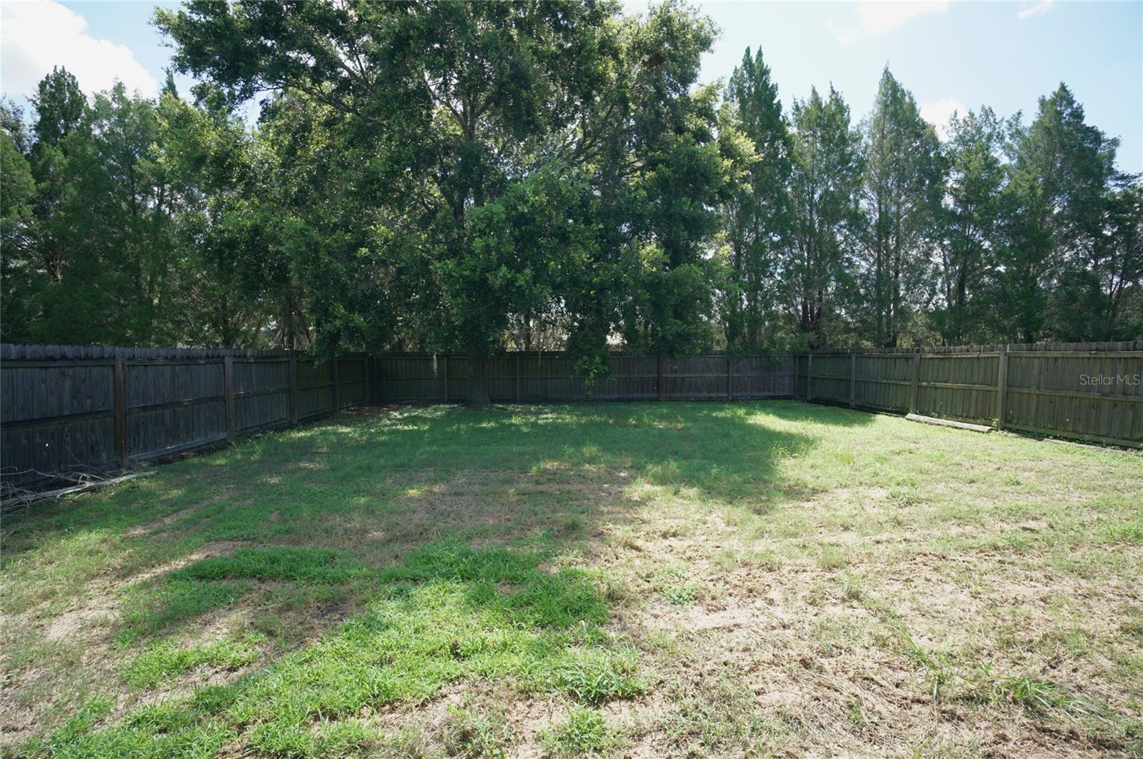 1112 NASHVILLE DR, WESLEY CHAPEL, FL, 33544