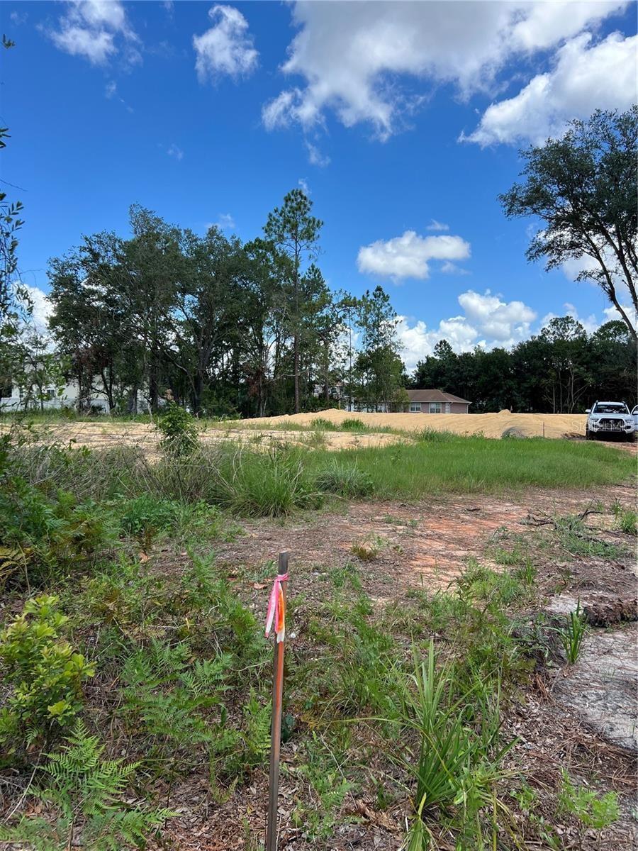 210 SPOONBILL DR, KISSIMMEE, FL, 34759