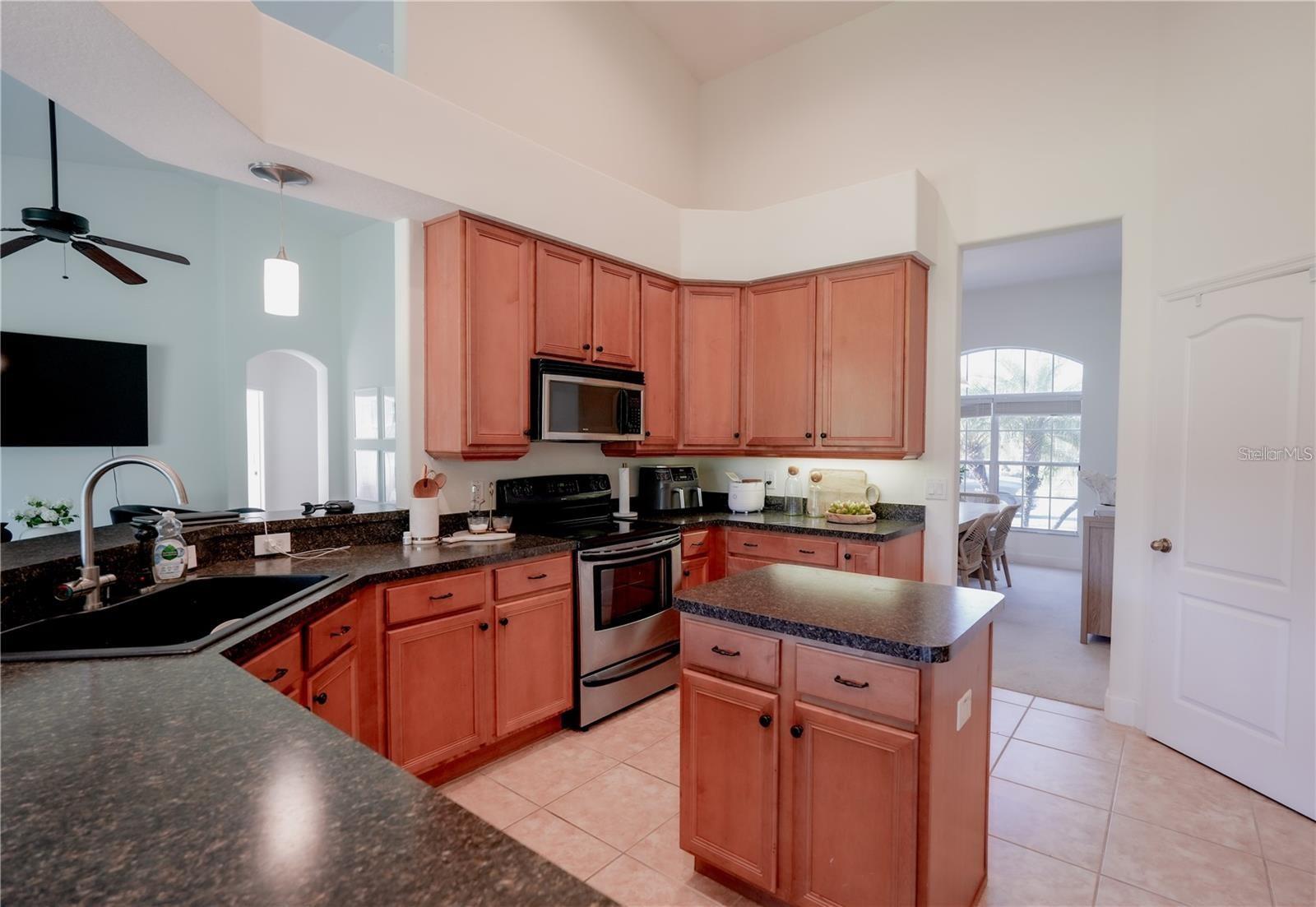 23533 VALDERAMA LN, SORRENTO, FL, 32776