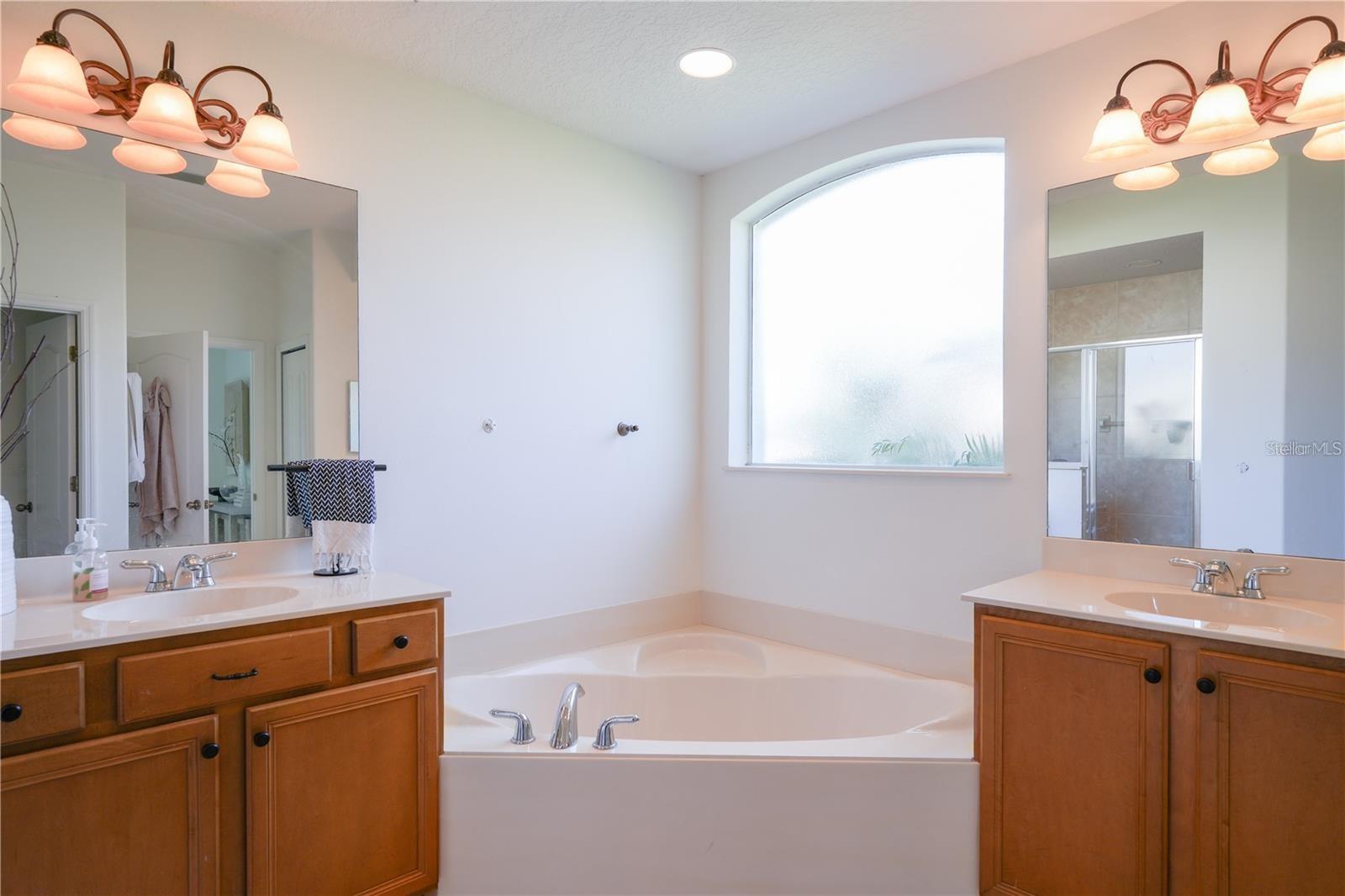 23533 VALDERAMA LN, SORRENTO, FL, 32776