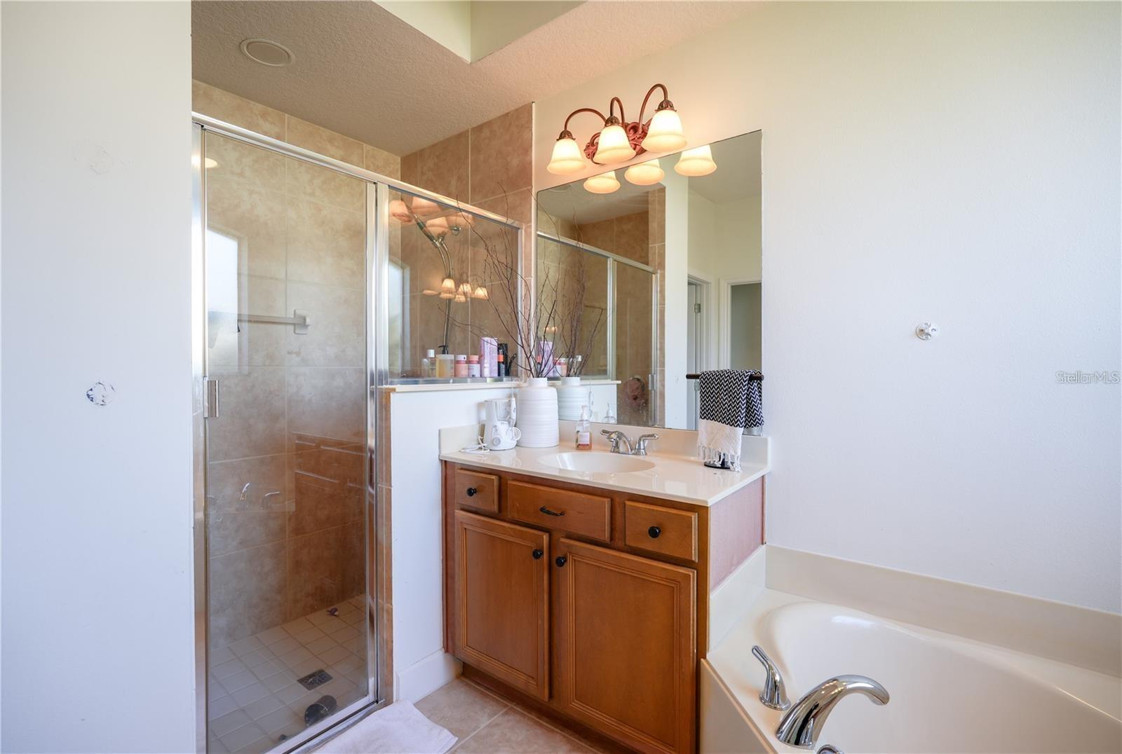 23533 VALDERAMA LN, SORRENTO, FL, 32776