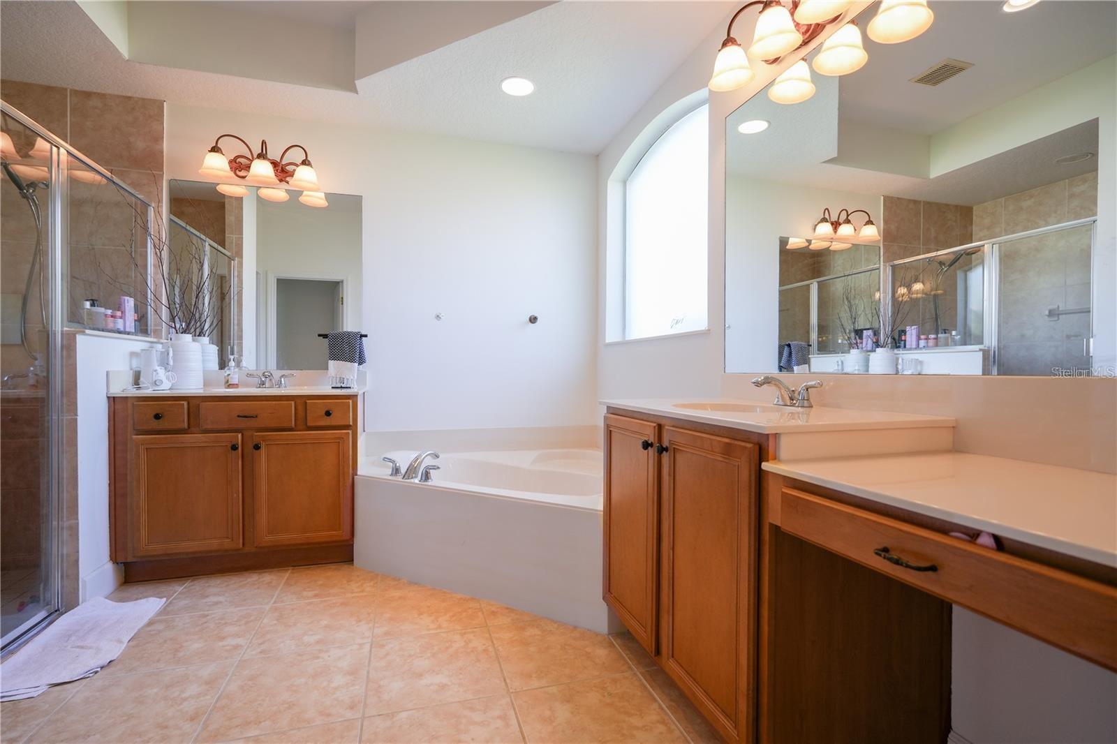 23533 VALDERAMA LN, SORRENTO, FL, 32776