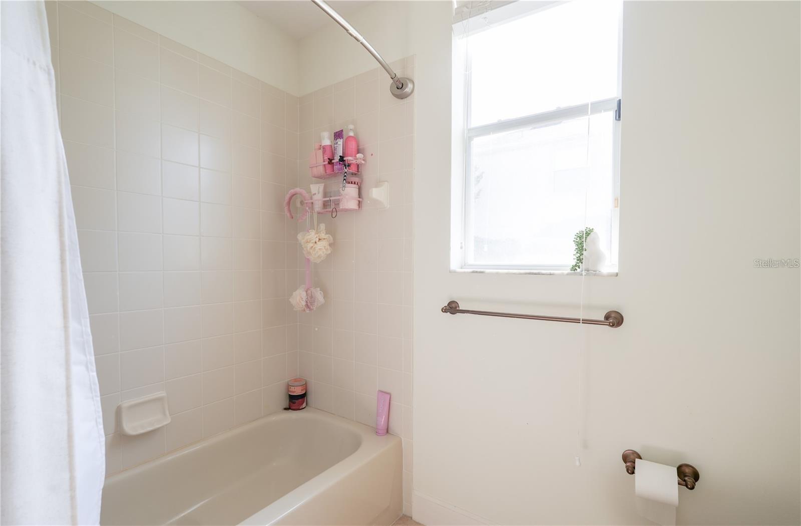 23533 VALDERAMA LN, SORRENTO, FL, 32776