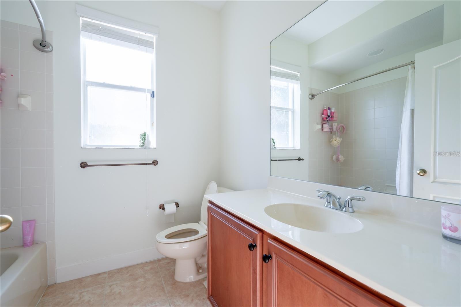 23533 VALDERAMA LN, SORRENTO, FL, 32776